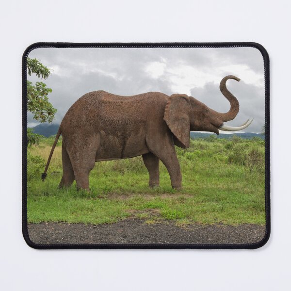 Item preview, Sculpture of an Elephant designed and sold by Yair Karelic.