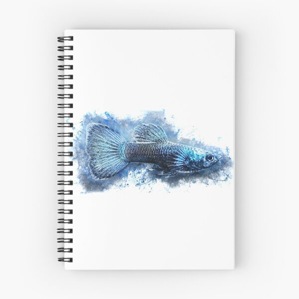 Item preview, Guppy Moscow blue - Poecilia reticulata designed and sold by AquariumLutter.