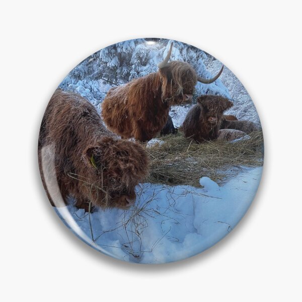 Artikelvorschau, Scottish Highland Cattle Calves and Cow in snow 2698 entworfen und verkauft von SaarelaHighland.