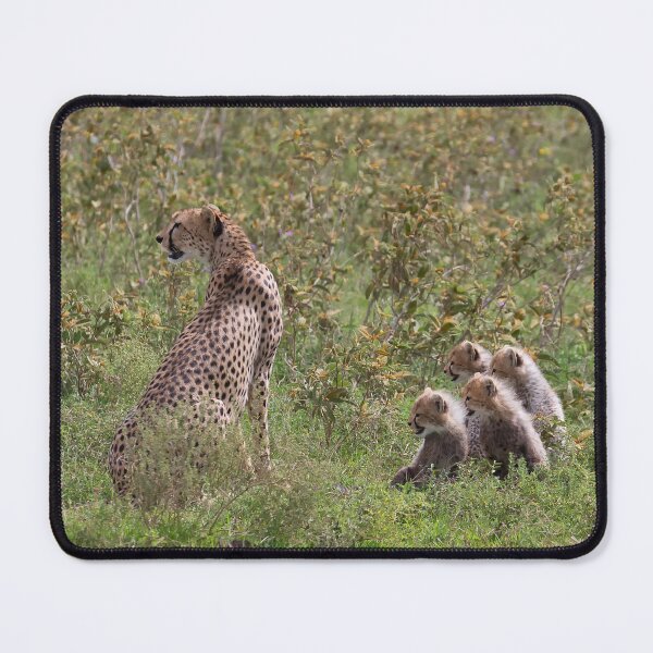 Item preview, Tanzanian Cheetahs (Acinonyx jubatus raineyii) designed and sold by Yair Karelic.