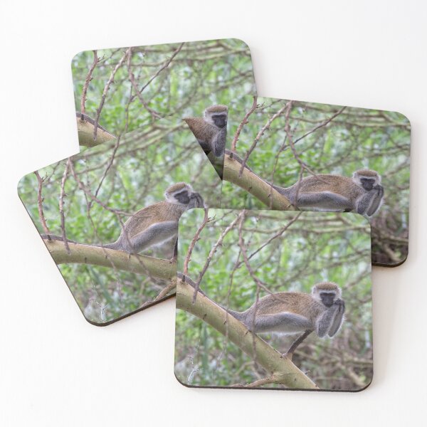 Item preview, Vervet Monkey (Chlorocebus pygerythrus) designed and sold by Yair Karelic.