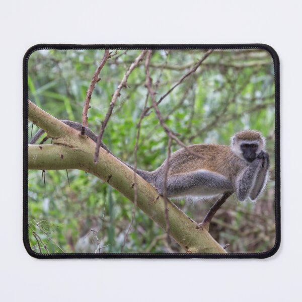 Item preview, Vervet Monkey (Chlorocebus pygerythrus) designed and sold by Yair Karelic.