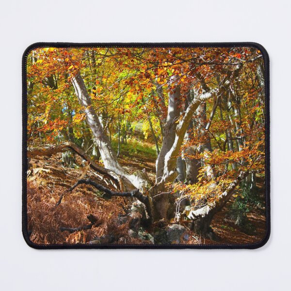 Item preview, Forest designed and sold by AHELENE.