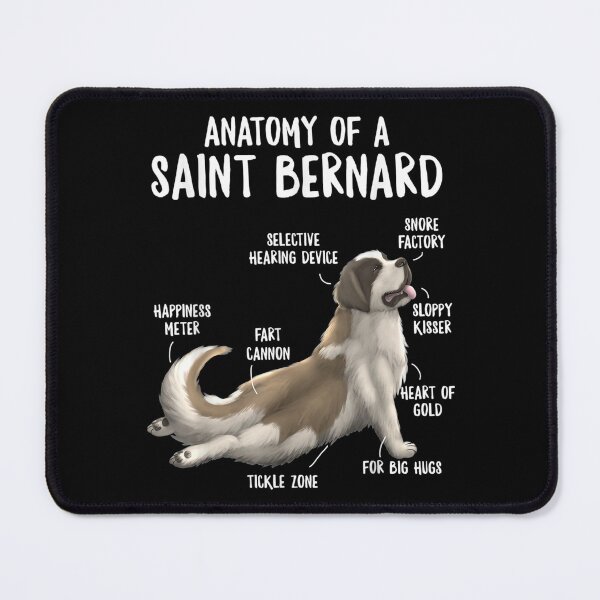 Aperçu de l'œuvre Anatomie Saint Bernard Propriétaire Berner Chiot Drôle Mignon créée et vendue par dianev79.