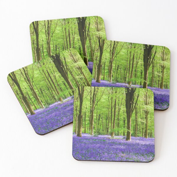 Aperçu de l'œuvre Bluebell Woodland, Wiltshire, Angleterre créée et vendue par Craig Joiner.