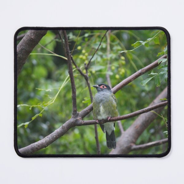 Item preview, Figbird designed and sold by AHELENE.