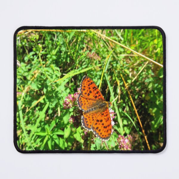Item preview, Papillon de Lapege designed and sold by AHELENE.