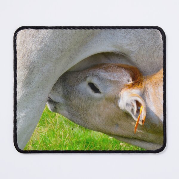 Item preview, Milk distributor designed and sold by AHELENE.
