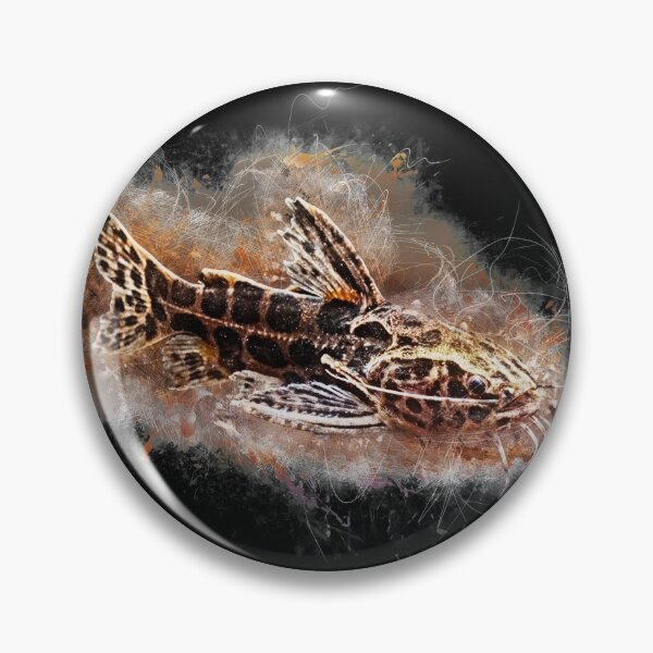 Item preview, Jaguar Catfish - Liasomadoras oncinus designed and sold by AquariumLutter.