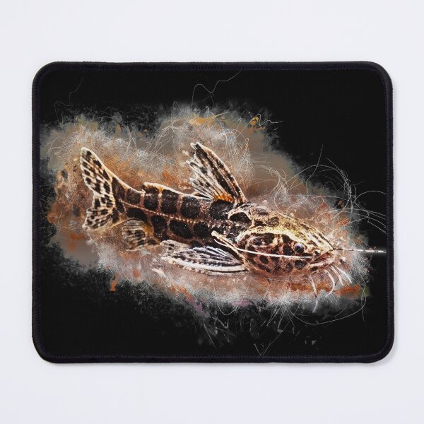 Item preview, Jaguar Catfish - Liasomadoras oncinus designed and sold by AquariumLutter.