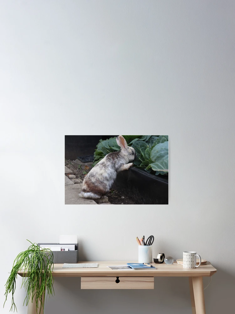 Thumbnail 2 of 3, Poster, Cabbage Patch Rabbit designed and sold by creativeclogs.
