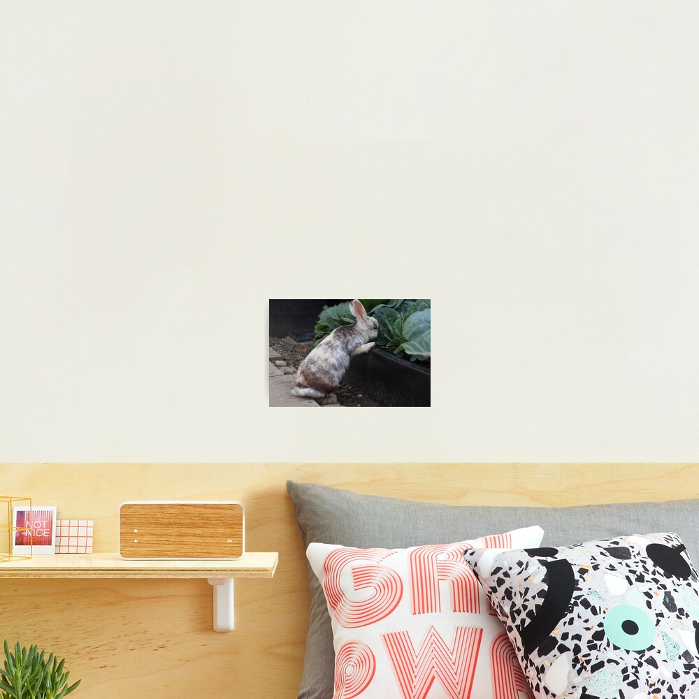 Item preview, Photographic Print designed and sold by creativeclogs.