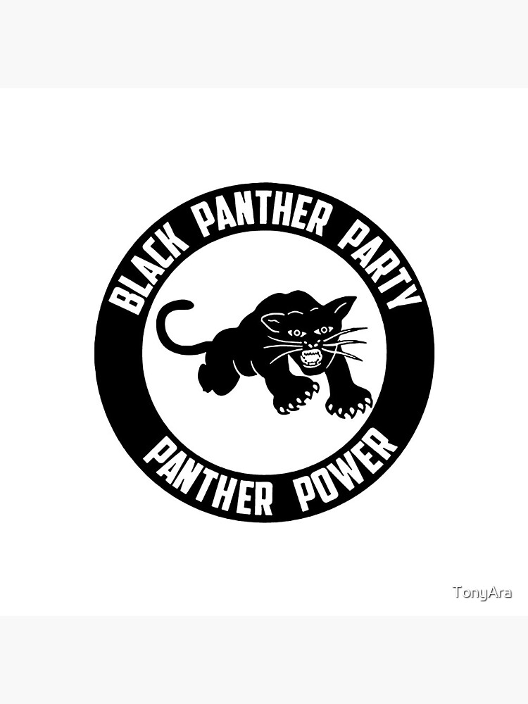 Pin on Panthers