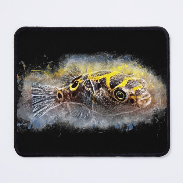 Item preview, Palembang Pufferfish - Dichotomyctere ocellatus designed and sold by AquariumLutter.