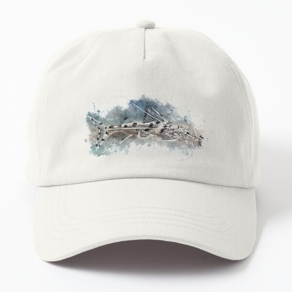 Engel Antennenwels - Pimelodus pictus Dad Hat