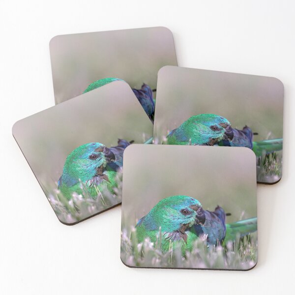 Item preview, Red-rumped parrot.  designed and sold by DaveBassett.