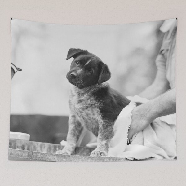 Item preview, Drying off puppy designed and sold by Night-parade.