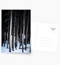 Trees Postcards