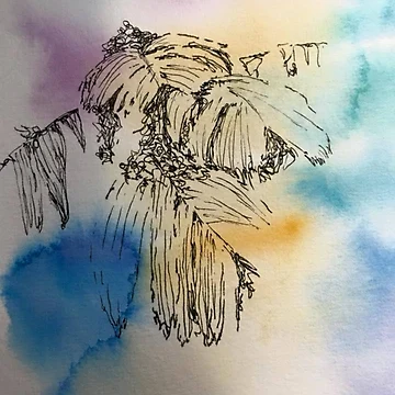 Artwork thumbnail, Ferns by MoonDustCreate