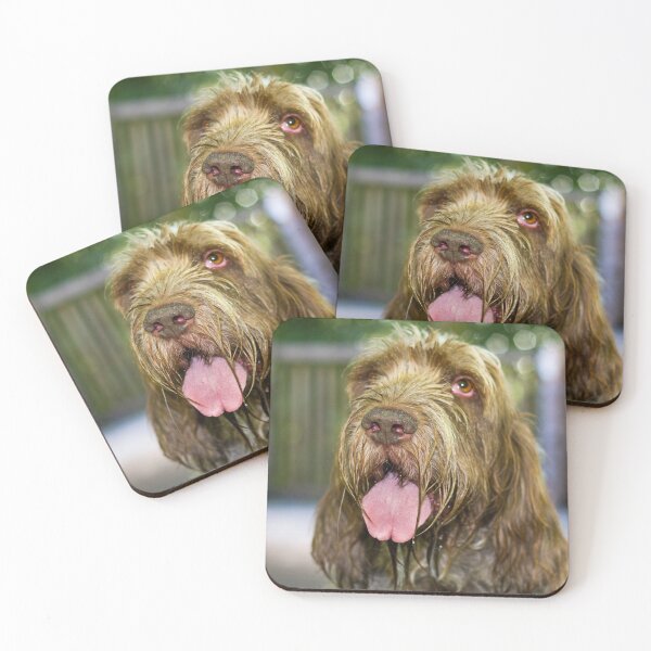 Item preview, Sparkling Spinone by heidiannemorris designed and sold by FOLK ART FUSION by heidiannemorris.