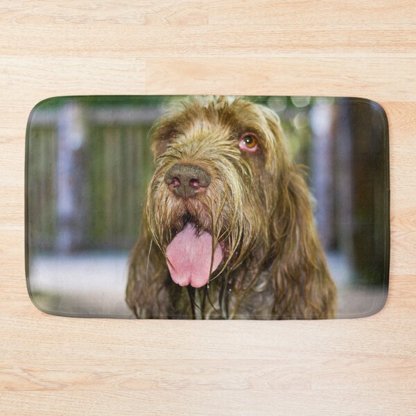Item preview, Sparkling Spinone by heidiannemorris designed and sold by FOLK ART FUSION by heidiannemorris.