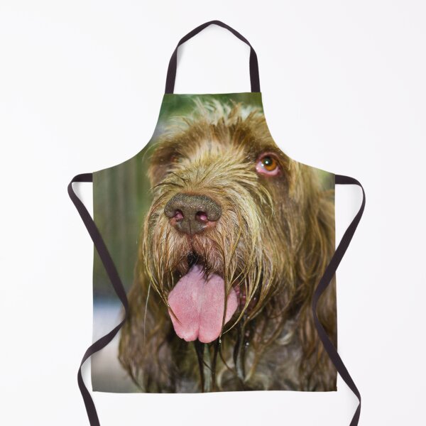 Item preview, Sparkling Spinone by heidiannemorris designed and sold by FOLK ART FUSION by heidiannemorris.