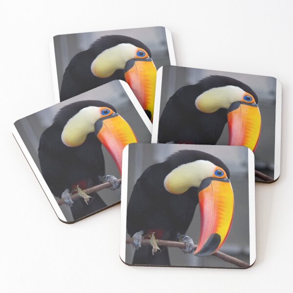 Item preview, Toucan bird designed and sold by AmieB-Art.