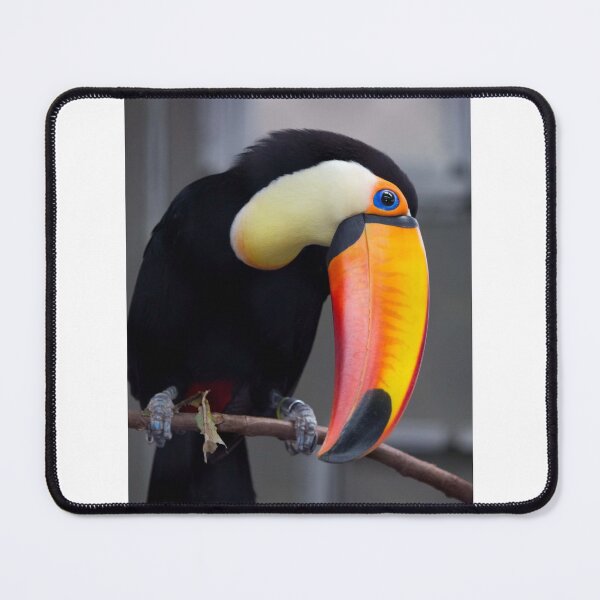 Item preview, Toucan bird designed and sold by AmieB-Art.