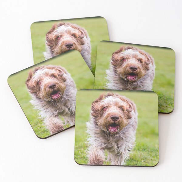 Item preview, Running Free Spinone designed and sold by FOLK ART FUSION by heidiannemorris.