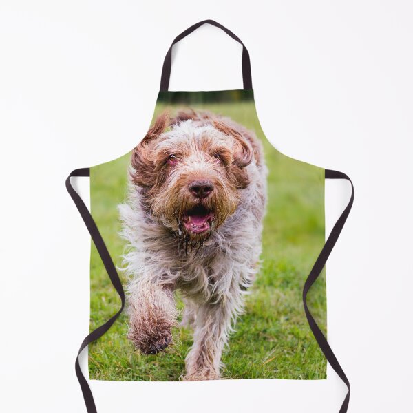 Item preview, Running Free Spinone designed and sold by FOLK ART FUSION by heidiannemorris.