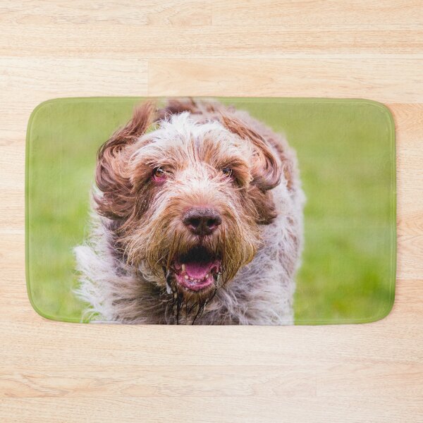 Item preview, Running Free Spinone designed and sold by FOLK ART FUSION by heidiannemorris.