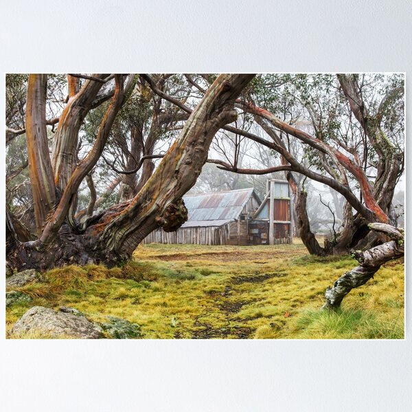 Item preview, Wallaces Hut designed and sold by Kerrie Gerlach.