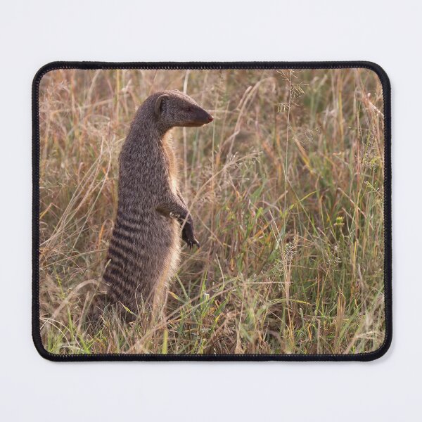 Item preview, Banded Mongoose (Mungos mungo) designed and sold by Yair Karelic.