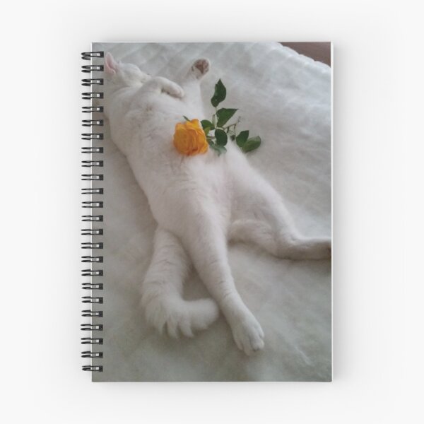 Aperçu de l'œuvre Boo Rose créée et vendue par ~  Virginia ~.