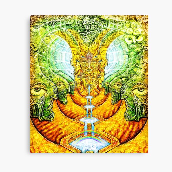 Mifsudvisions vs SalviaDroid Collab Canvas Print