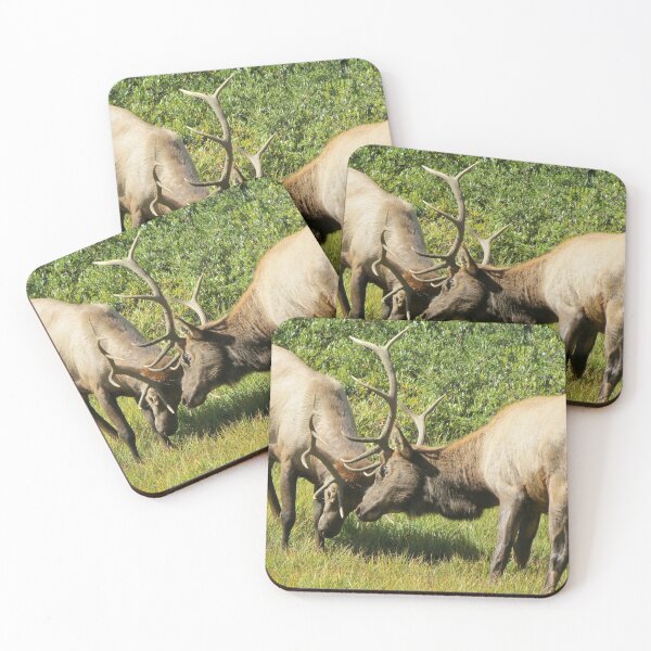 Item preview, Elk Bulls Sparring designed and sold by Susie Cunningham.