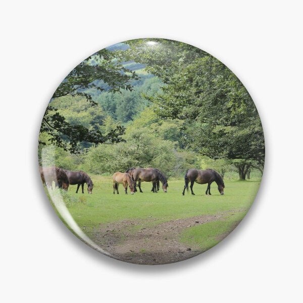 Item preview, Exmoor ponies, Somerset, UK designed and sold by photoslot.