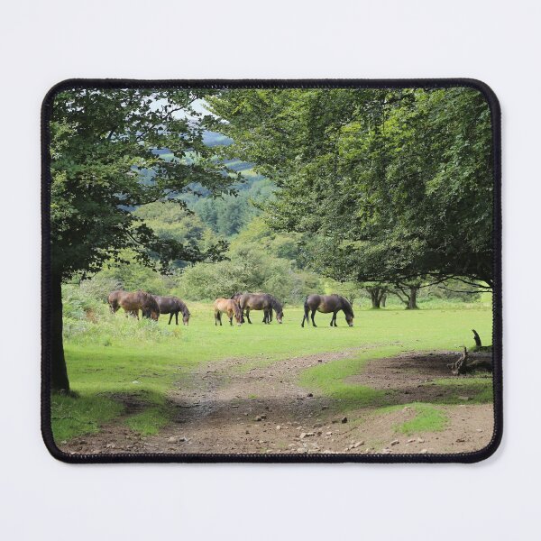 Item preview, Exmoor ponies, Somerset, UK designed and sold by photoslot.