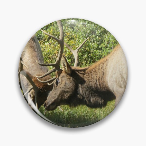 Item preview, Elk Bulls Sparring designed and sold by Susie Cunningham.