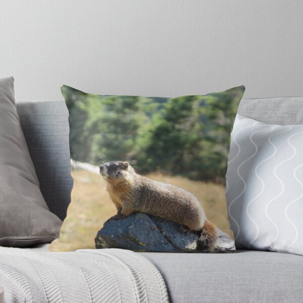 Item preview, Marmota designed and sold by Susie Cunningham.