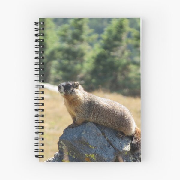 Item preview, Marmot designed and sold by Susie Cunningham.