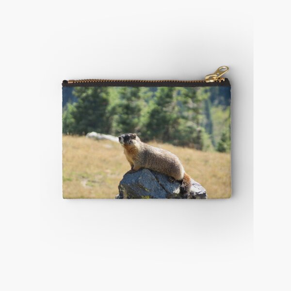 Aperçu de l'œuvre Marmotte créée et vendue par Susie Cunningham.