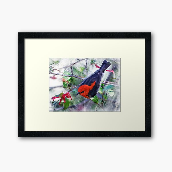 Item preview, Painted scarlet honeyeater. designed and sold by DaveBassett.