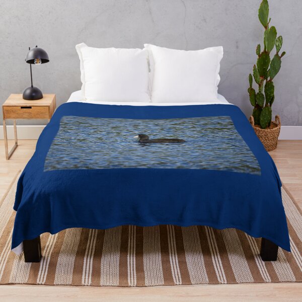 Item preview, Eurasian coot profile designed and sold by Jouko Lehto Photography.