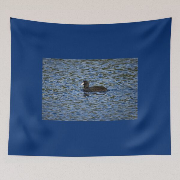 Item preview, Eurasian coot profile designed and sold by Jouko Lehto Photography.