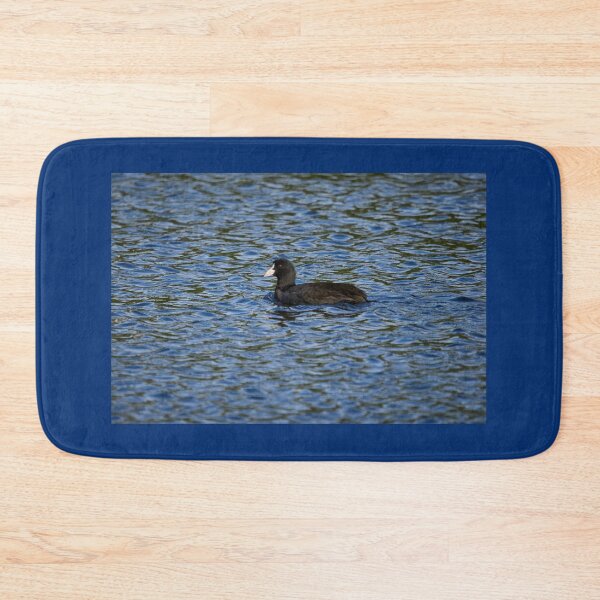 Item preview, Eurasian coot profile designed and sold by Jouko Lehto Photography.