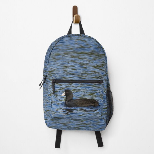 Item preview, Eurasian coot profile designed and sold by Jouko Lehto Photography.