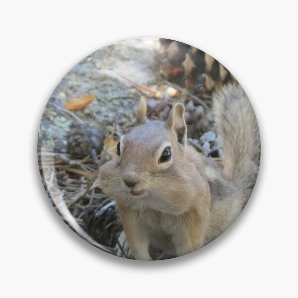 Item preview, Chipmunk designed and sold by Susie Cunningham.