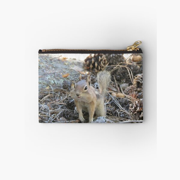 Item preview, Chipmunk designed and sold by Susie Cunningham.