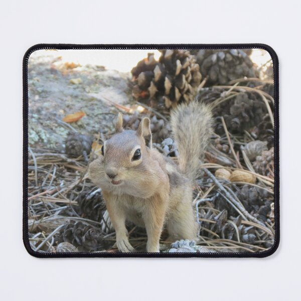 Item preview, Chipmunk designed and sold by Susie Cunningham.
